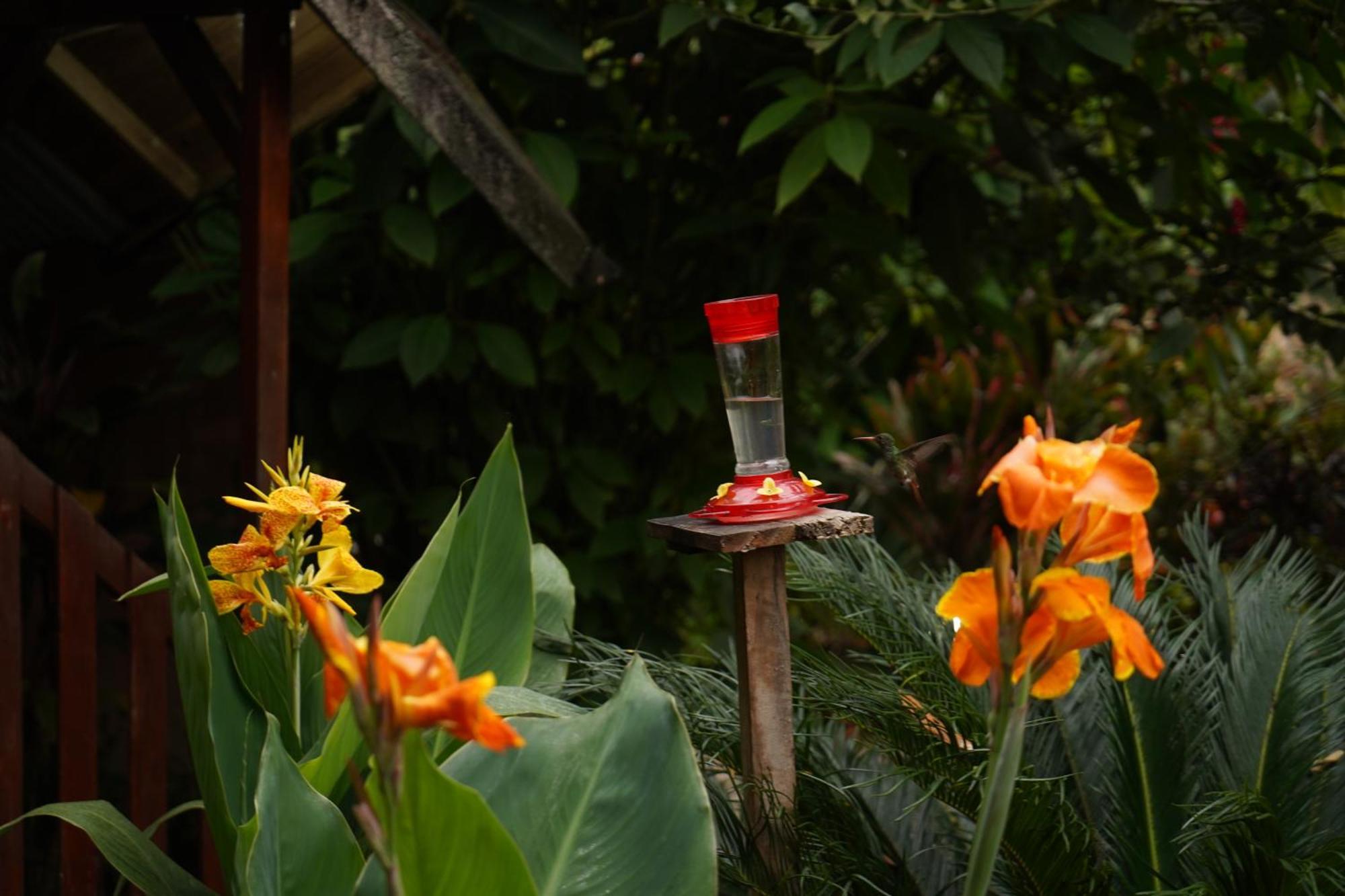 Mindo Glambird Glamping & Lodge ภายนอก รูปภาพ