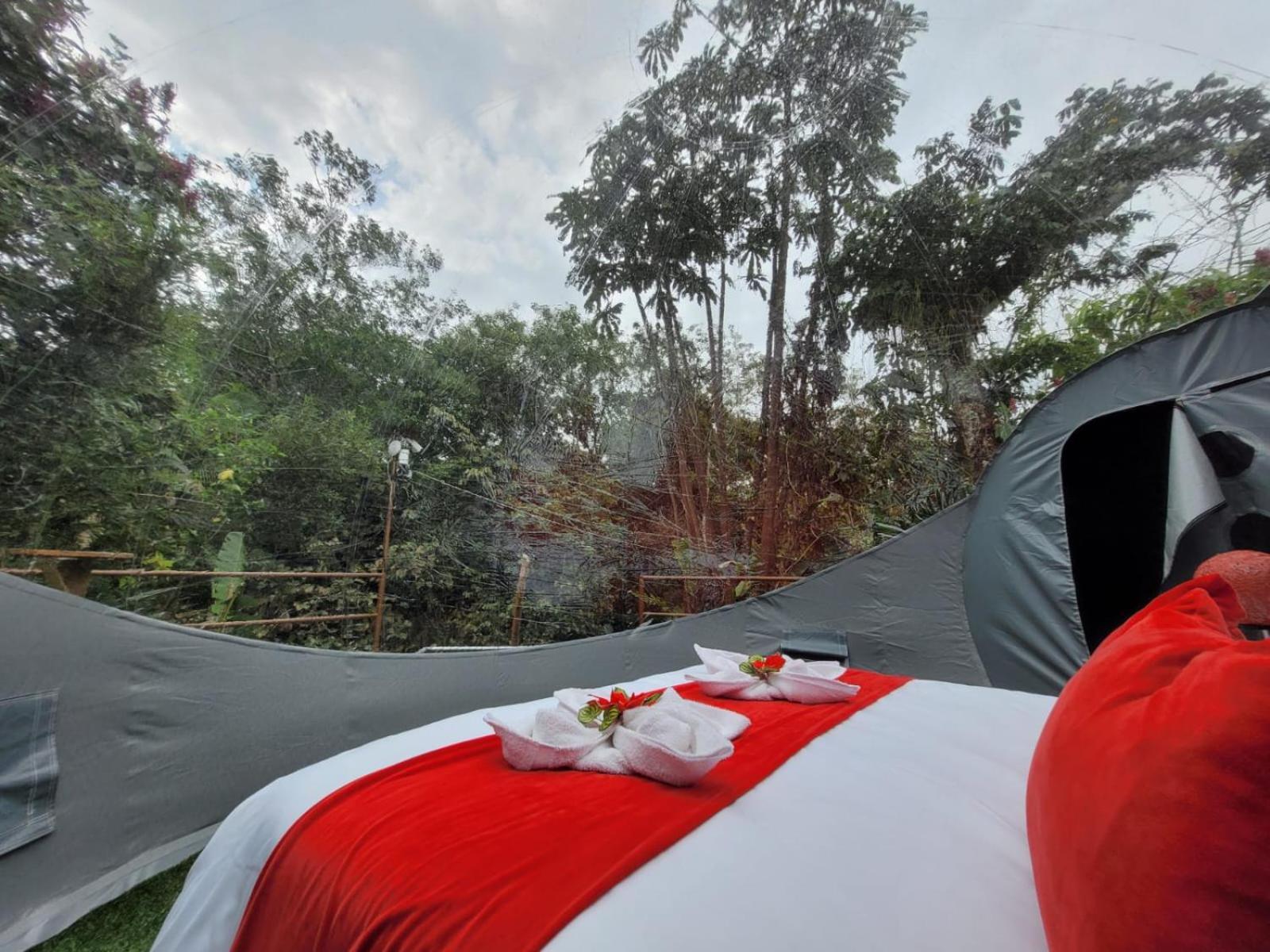 Mindo Glambird Glamping & Lodge ภายนอก รูปภาพ