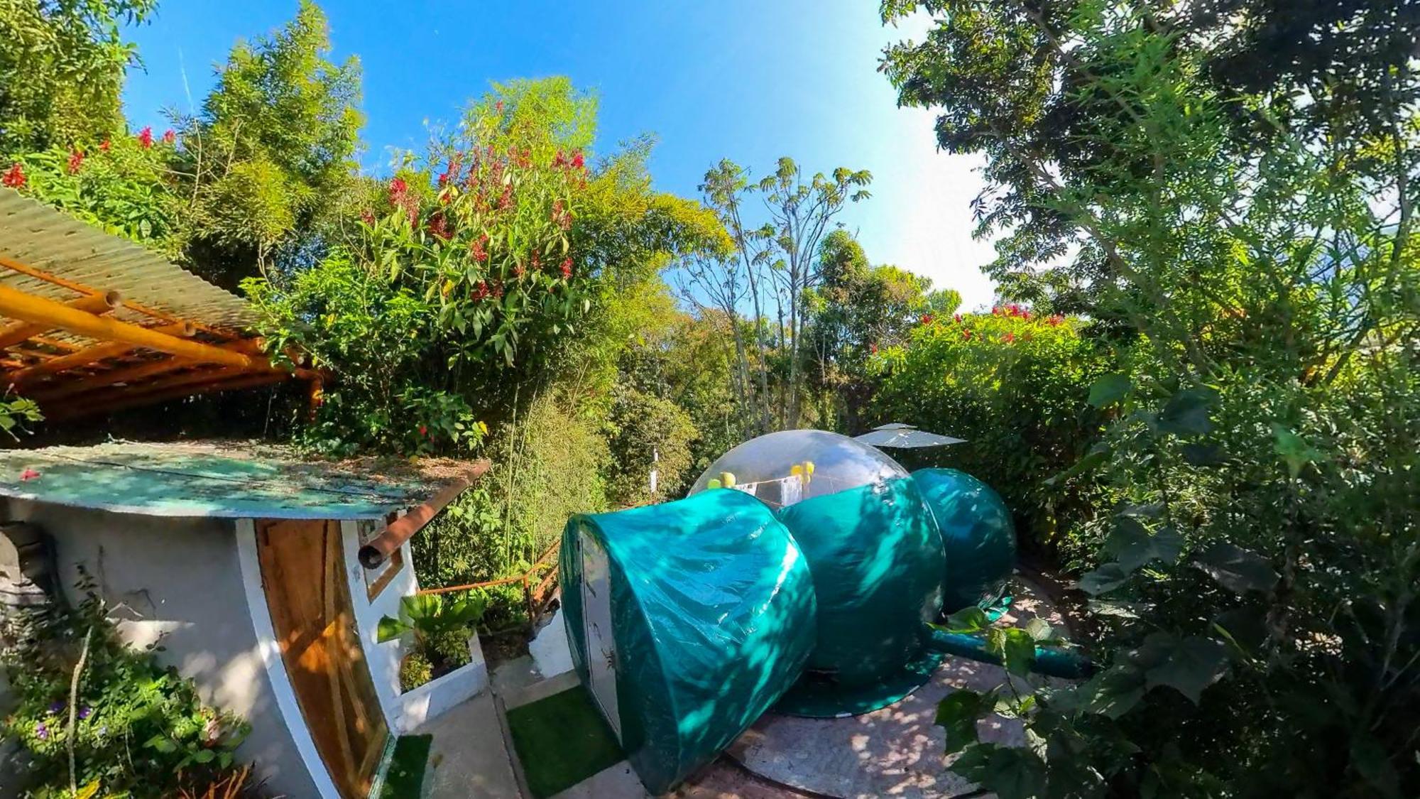 Mindo Glambird Glamping & Lodge ภายนอก รูปภาพ